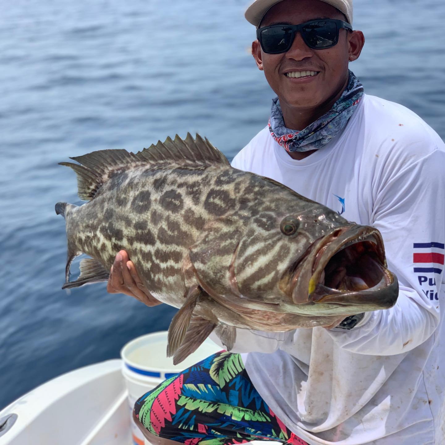 Grouper caught bottom fishing on the Pacific coast