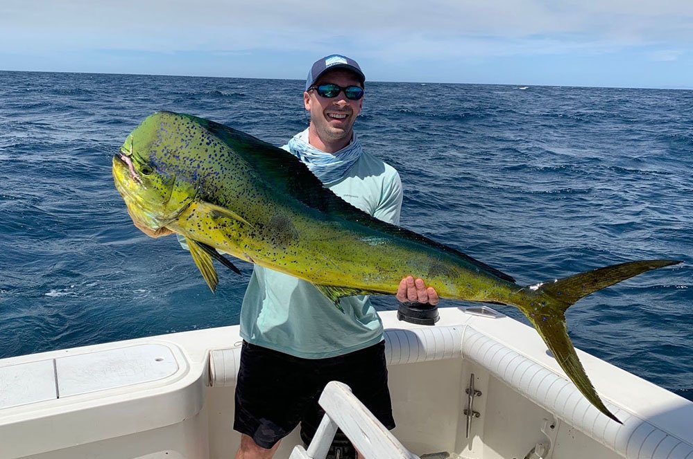 Mahi-mahi, also called dolphinfish, on deck