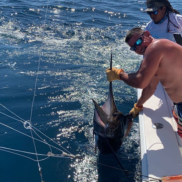 Marlin jumping behind a sportfishing boat off Costa Rica