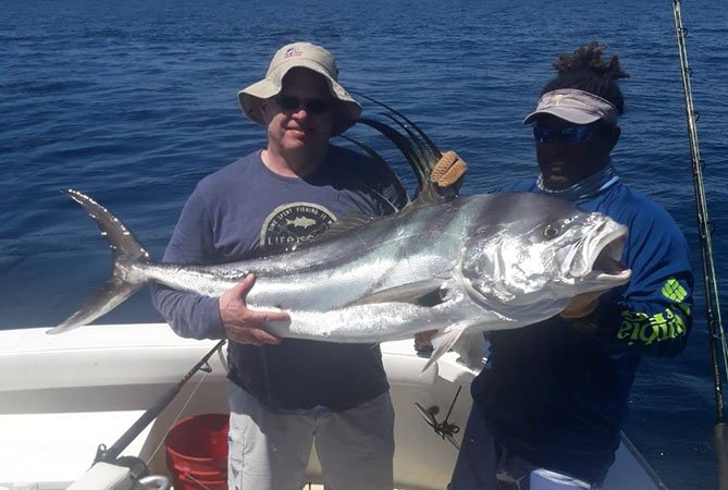 Roosterfish with its tall comb dorsal fin
