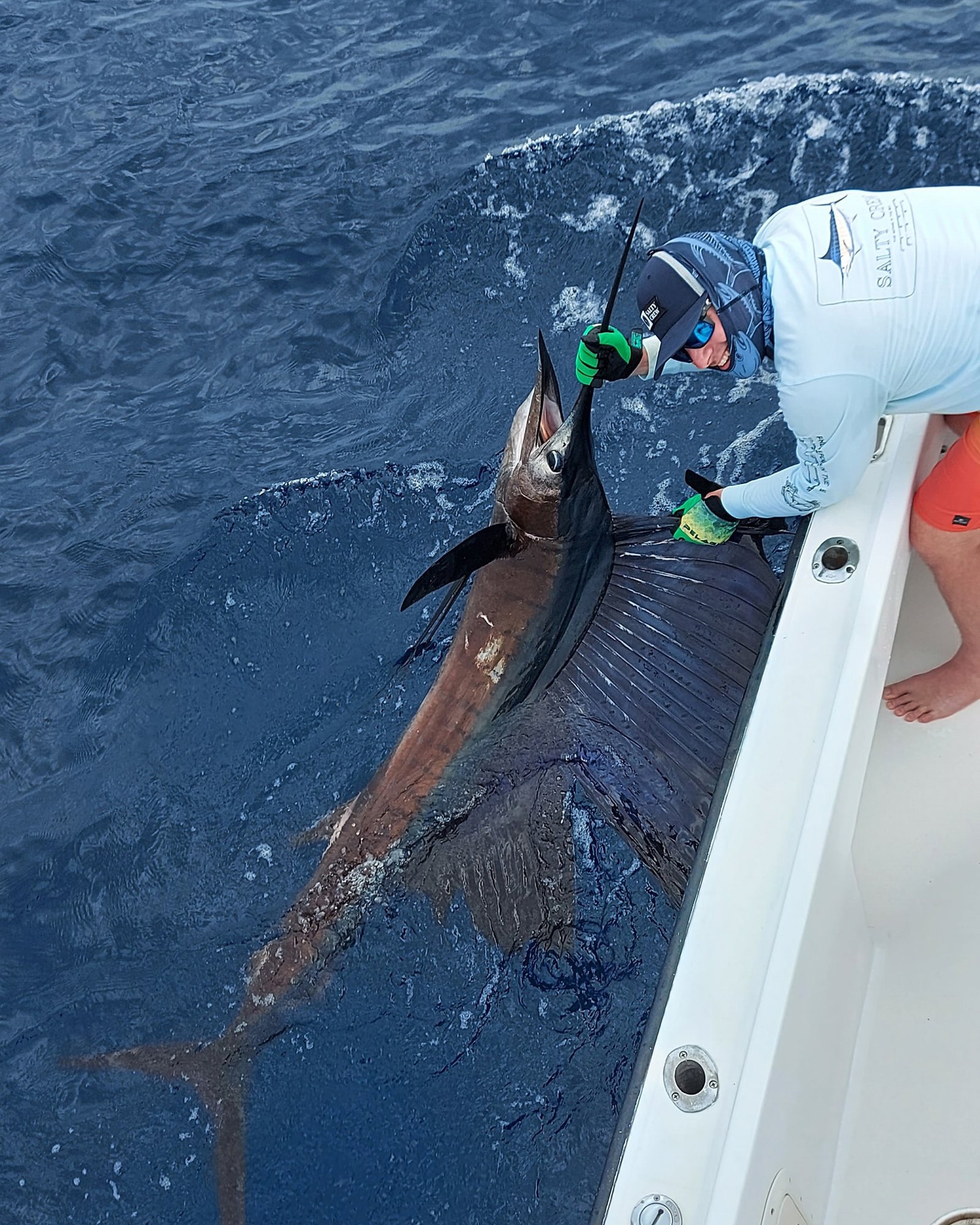 Pacific sailfish lit up next to the boat in Costa Rica